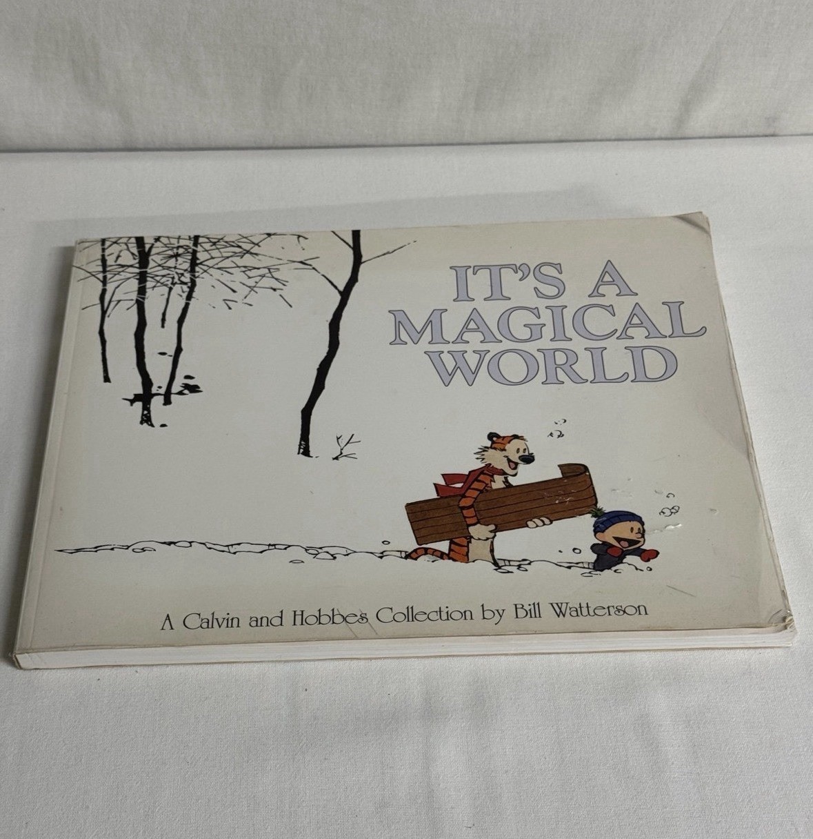 Calvin e Hobbes Ser.: È un mondo magico di Bill Watterson (1996, Trade...