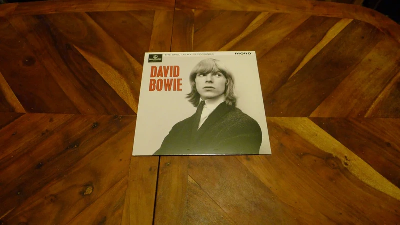 David Bowie - The Shel Talmy Recordings (Vinyl)