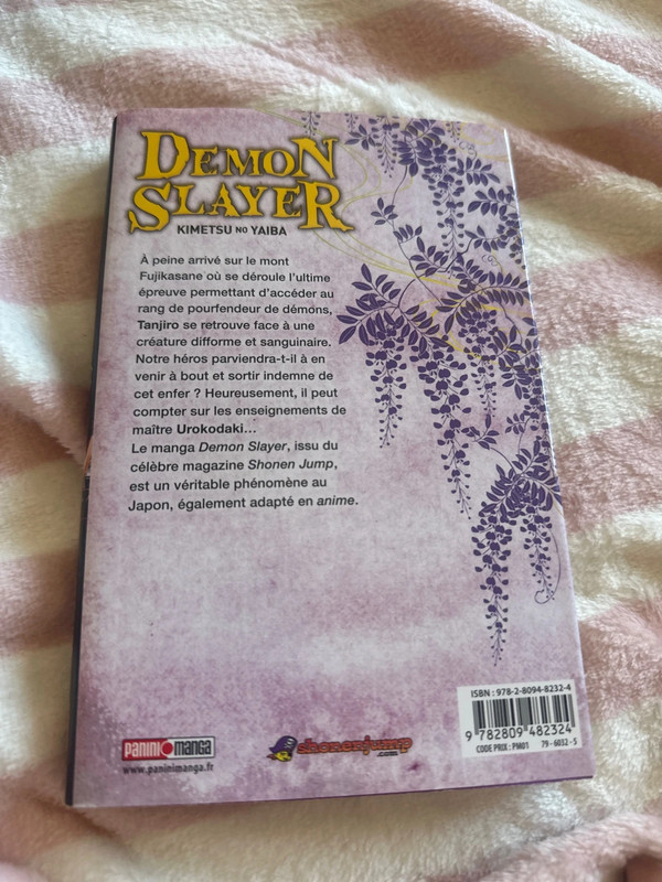 T 2 démon slayer