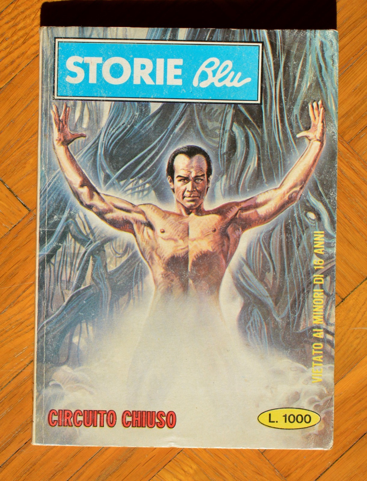 Storie Blu 30 Circuito Chiuso Ediperiodici EP Viola Fumetti