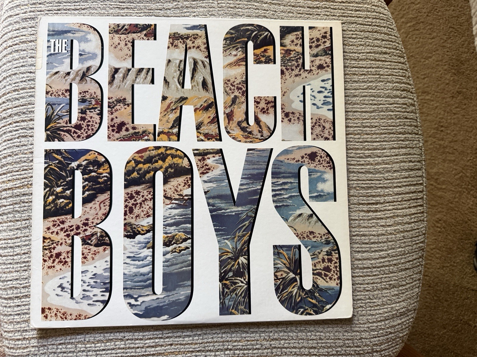 The Beach Boys - The Beach Boys S/T LP VG+ / VG +