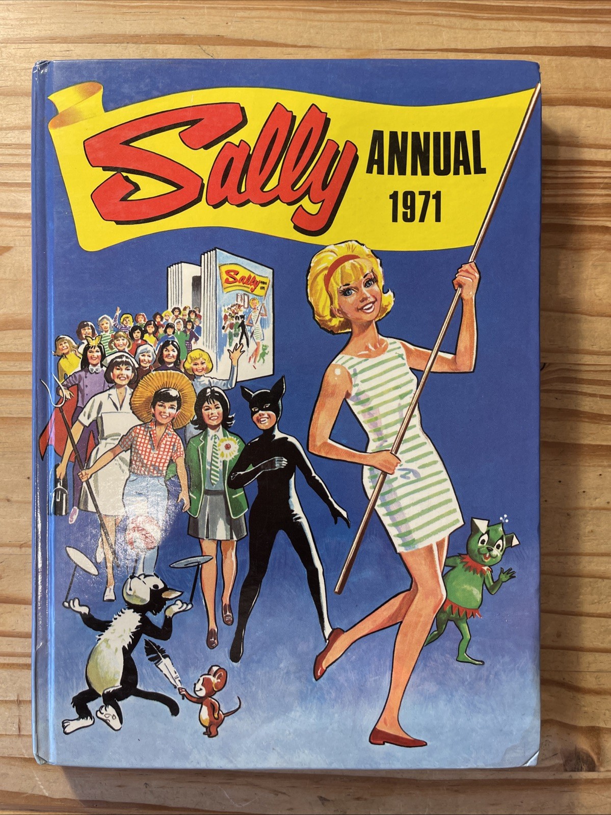 Sally Annual 1971 Excellent Cond. Unclipped No pen 144 pges Lots of comic strips