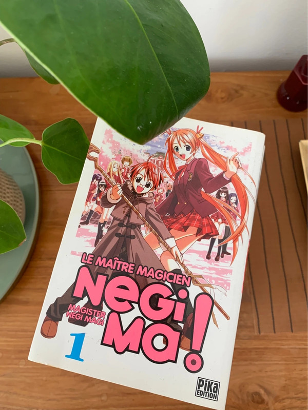 14 Tomes Negima