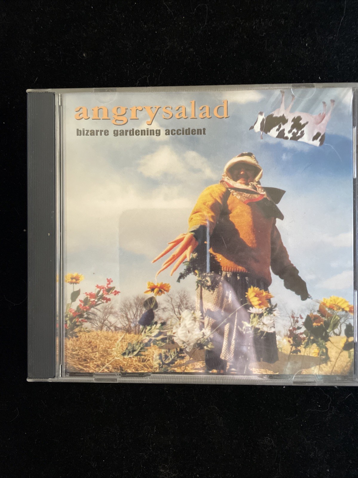 ANGRY SALAD - Bizarre Gardening Accident - CD