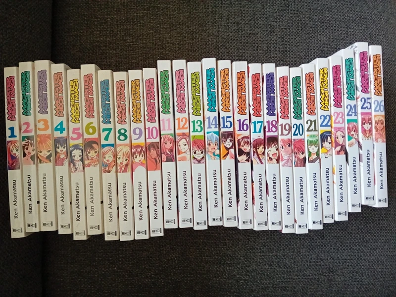 Magister Negi Magi - Negima! Band 1-26