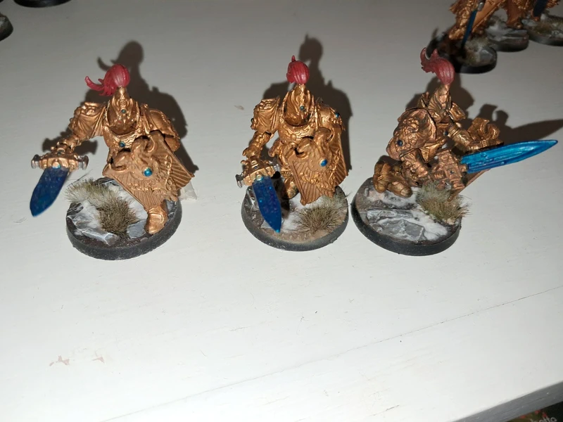 Sodality guard custodian