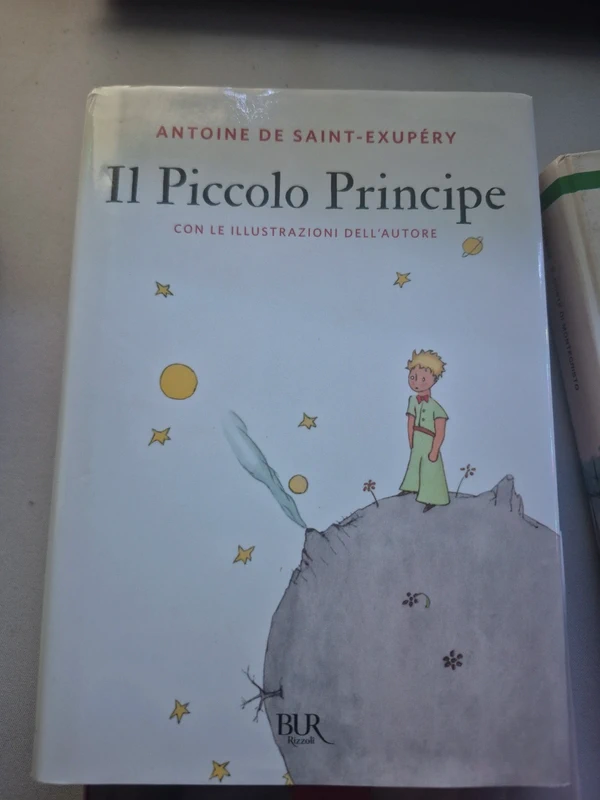 Il piccolo principe