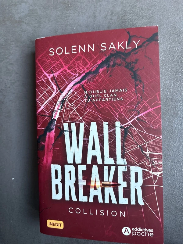 Wall breaker de Solenn Sakly