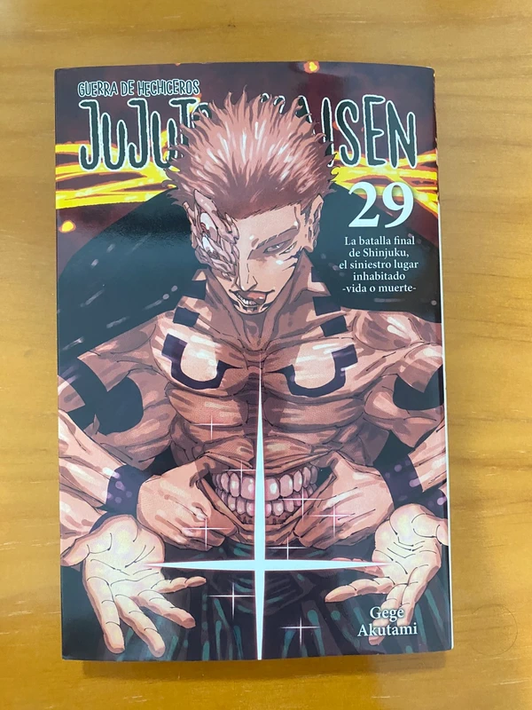 Jujutsu kaisen 29
