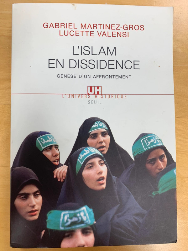 Livre de Gabriel Martinez-Gros (L’Islam en dissidence)