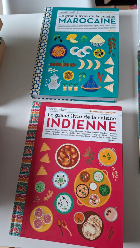Lot livres cuisine Indienne et Marocaine