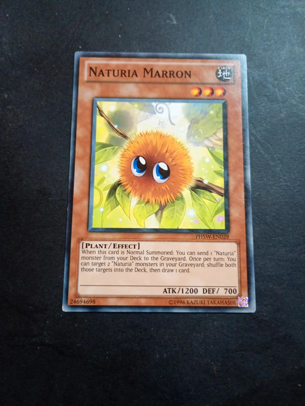 Natura marron carta Yu-Gi-Oh