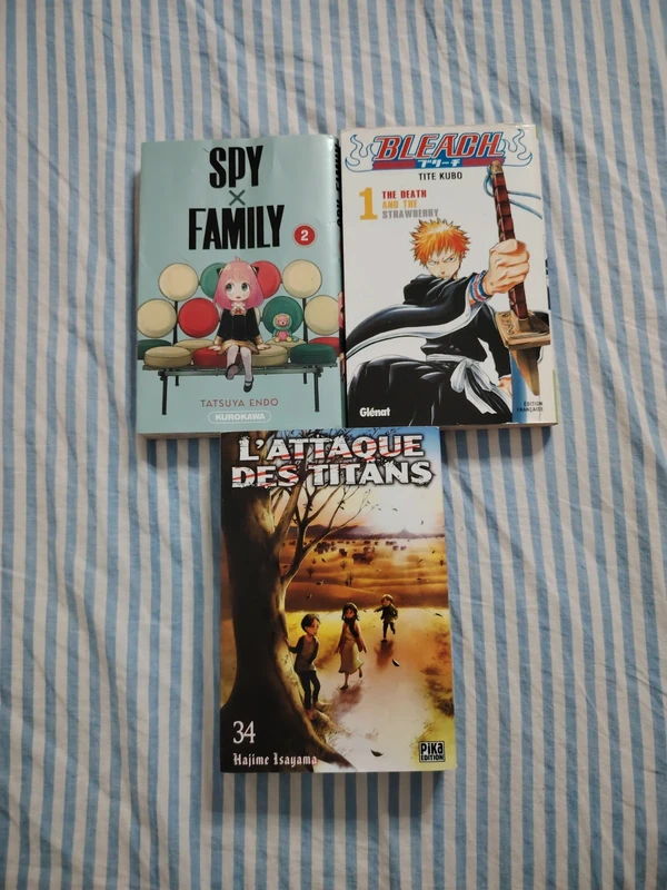 Lot de Mangá divers