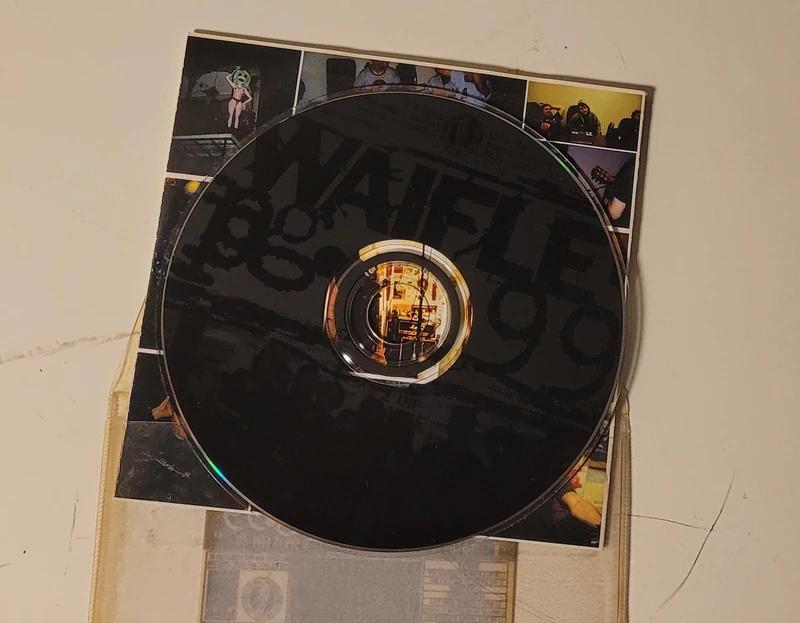 Pg.99 / Waifle – Do You Need A Place To Stay? CD (2001 emo screamo punk hardcore)