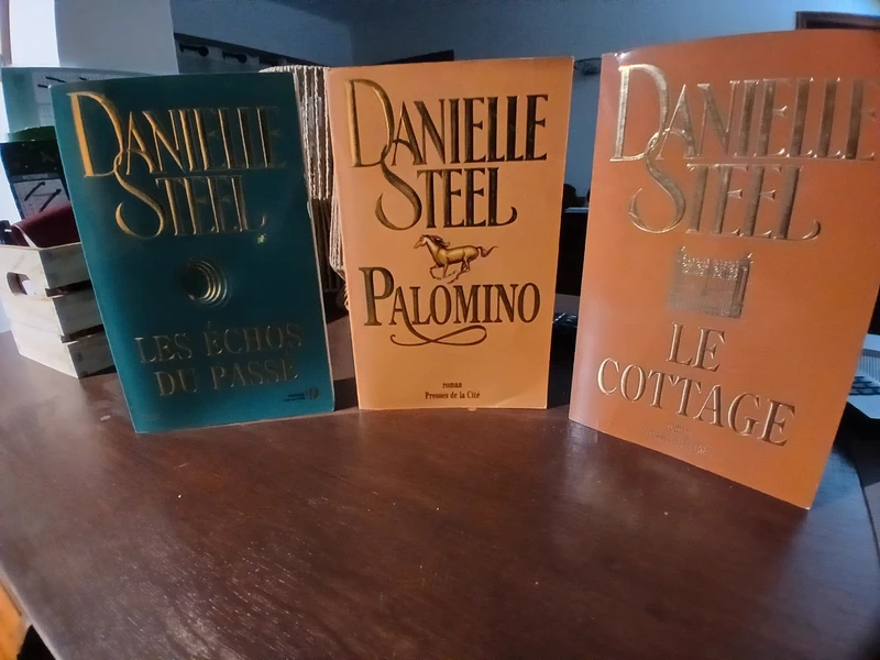 Lot de 3 livres de Danielle Steel . ou à l unité selon votre choix
