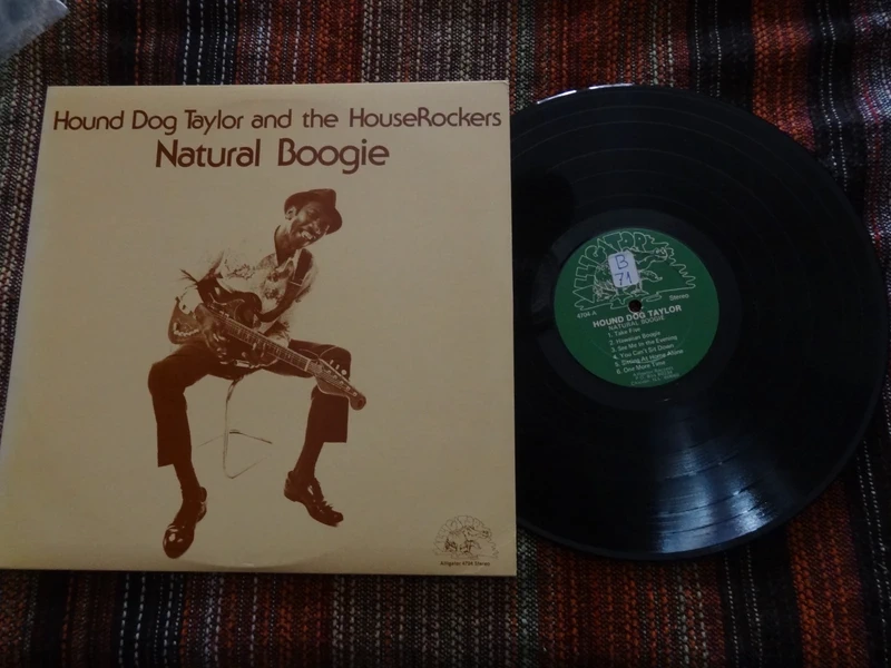 vinilo hound dog taylor