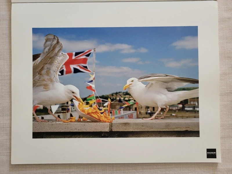 Bellissima fotografia di Martin Parr proveniente da Portfolio Magnum