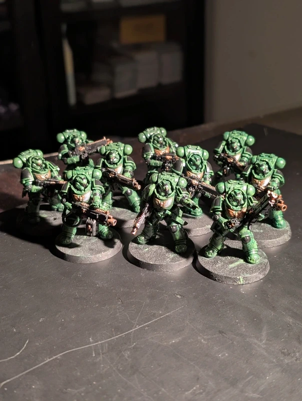 Lot de 10 Salamanders (10 heavy intercessors).