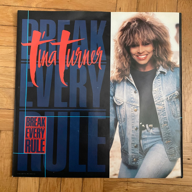 Tina Turner Break every rule Schallplatte Single