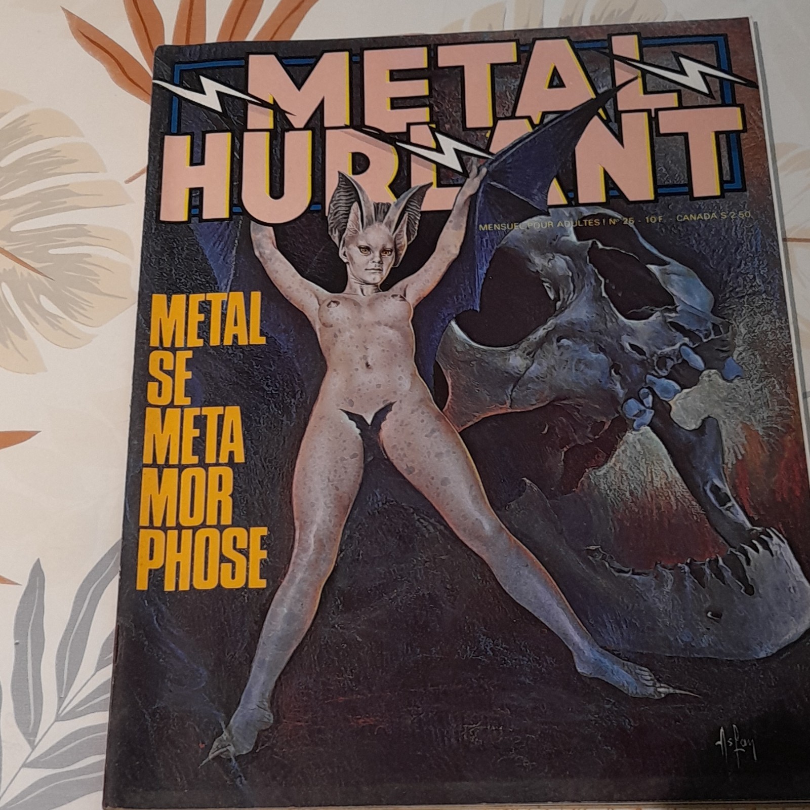 Metal Hurlant Numéro 25