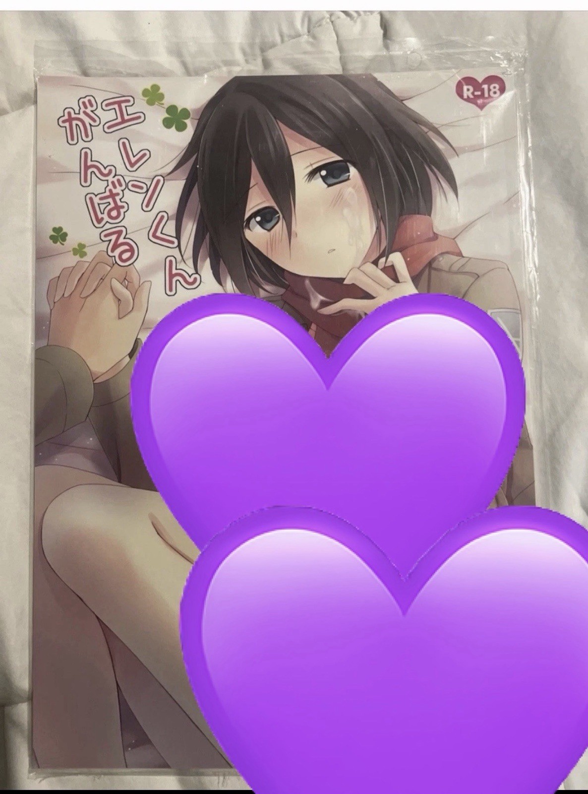 ANIME JAPAN COMIC BOOK Sensual Fantasy (mai aperto)