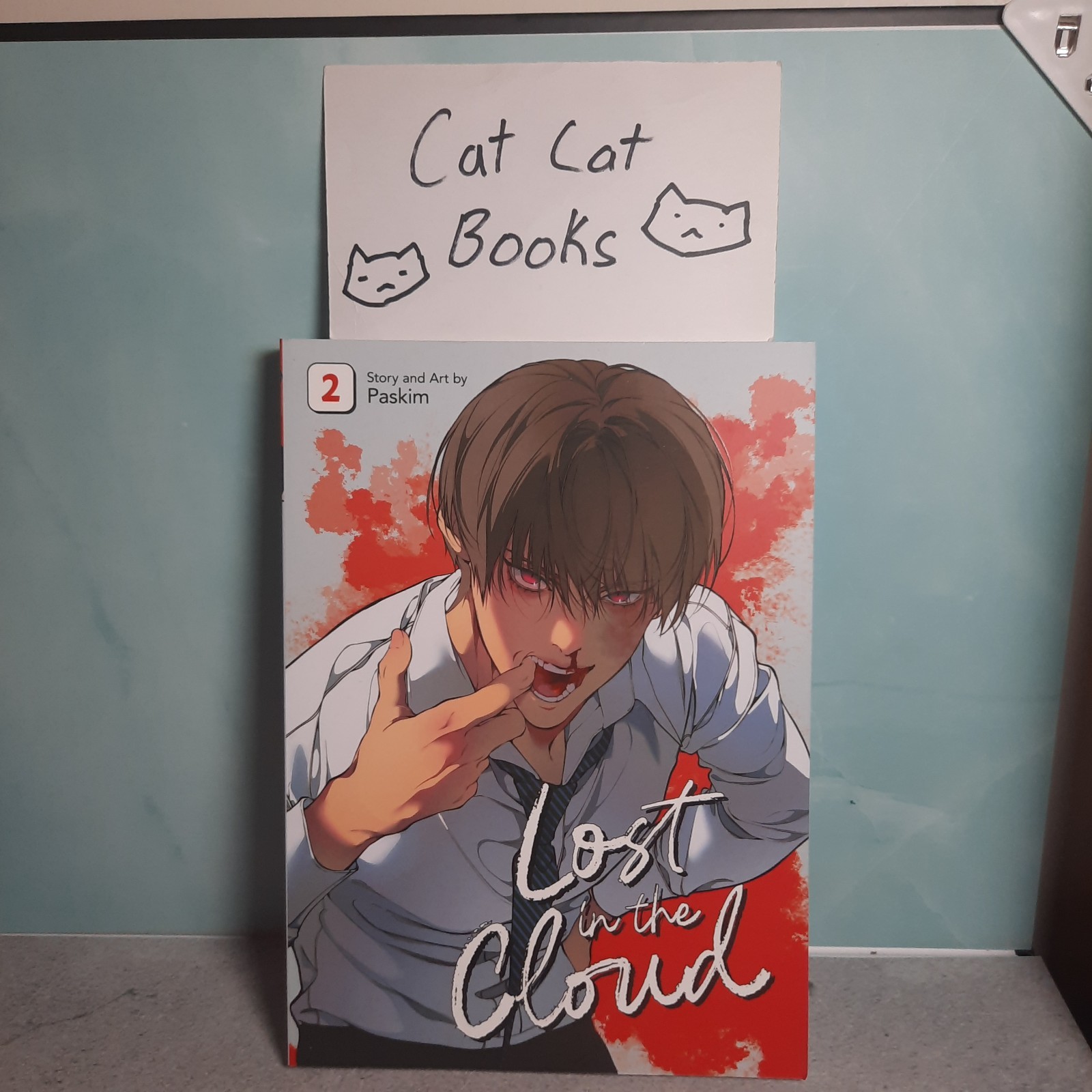 📚 Lost in the Cloud Vol. 2 Manwha inglesi di Paskim Yaoi 9798893739466