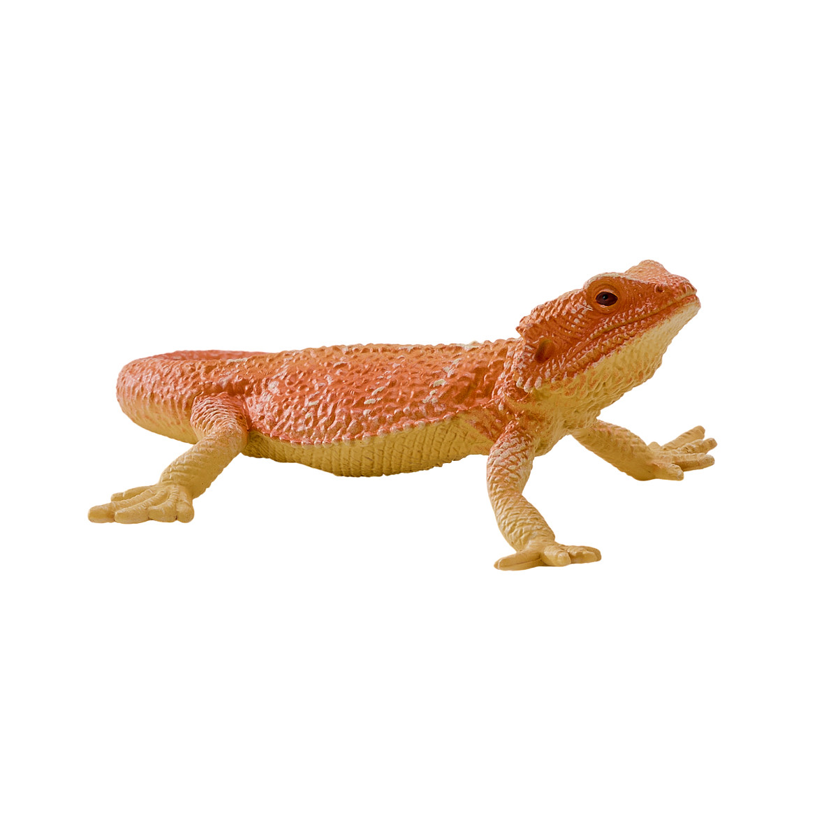 Drago Barbuto Giocattolo Realistico Modello Rettile Educativo Animale Figura Giocattolo Bambini