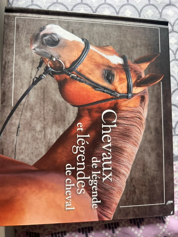 Livre chevaux