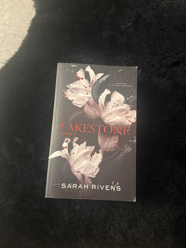 Lakestone tome 1