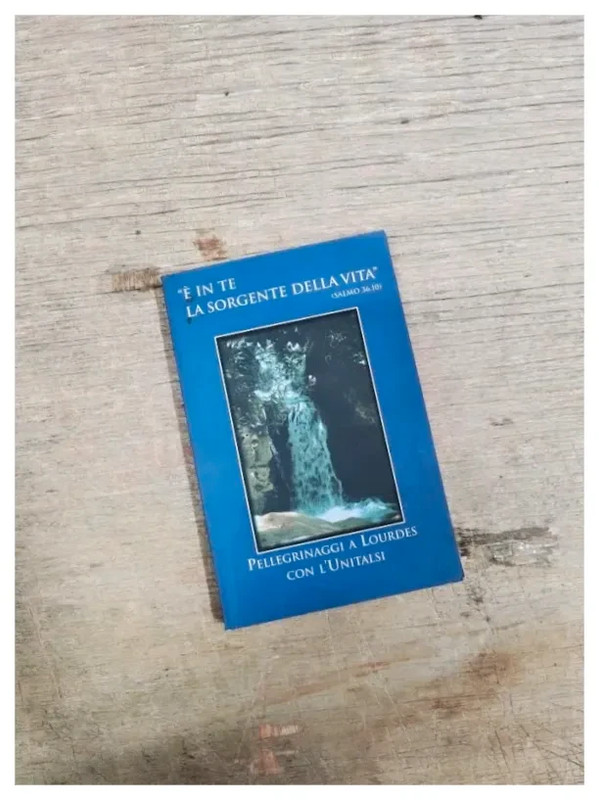 Libro È in te la sorgente della Vita Pellegrinaggio a Lourdes con l'Unitalsi Salmo 36,10