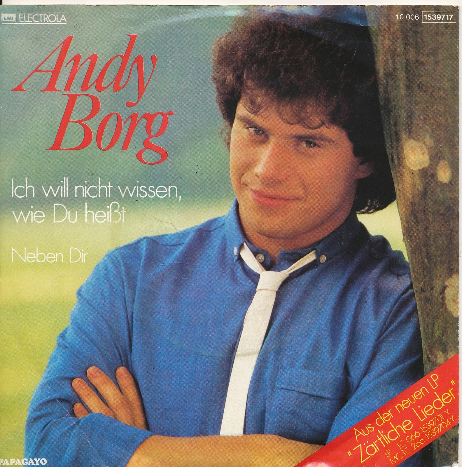 Ich will nicht wissen, wie du heißt - Andy Borg - Single 7" Vinyl 204/19
