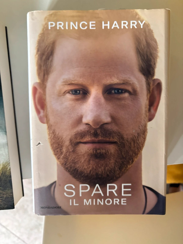Spade il minore