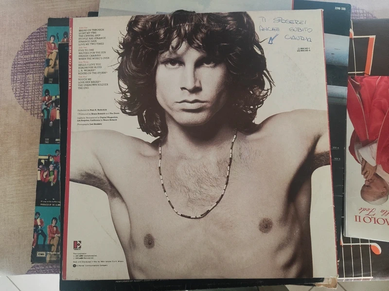 The Doors The Best Of The Doors Vinile/LP LP 12" (12 pollici) Rock Album