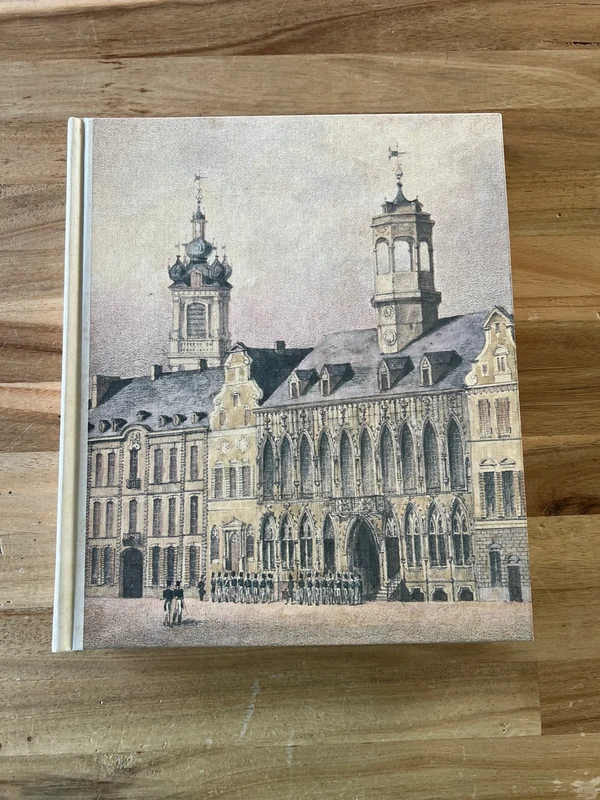 Boek Steden van België: Bergen - Artis Historia