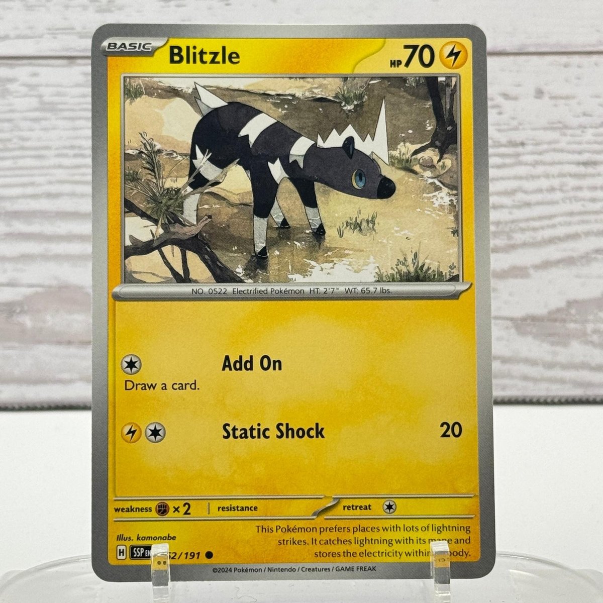 BLITZLE 062/191 SCINTILLE IN AUMENTO POKEMON NM