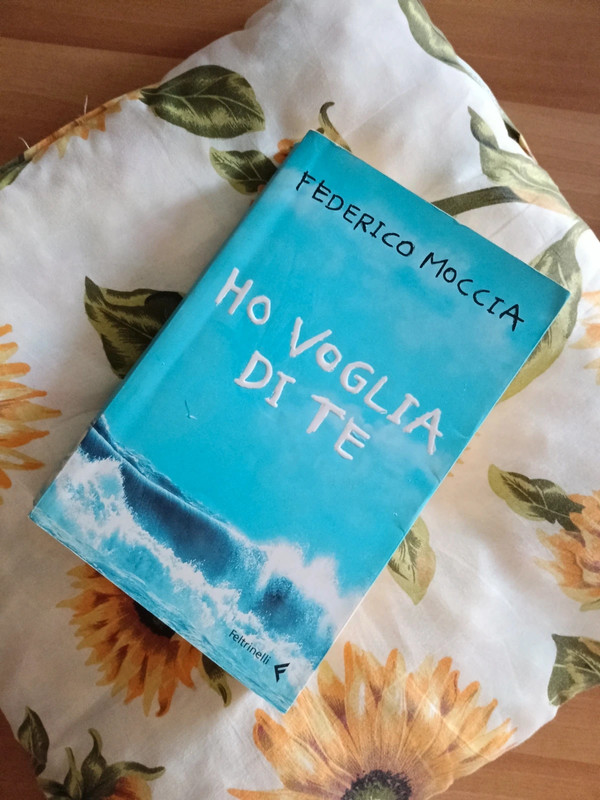 Ho voglia di te