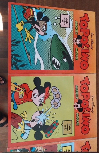 Libri Topolino Daily Strips 1971-1975 ottime condizioni, come nuovi