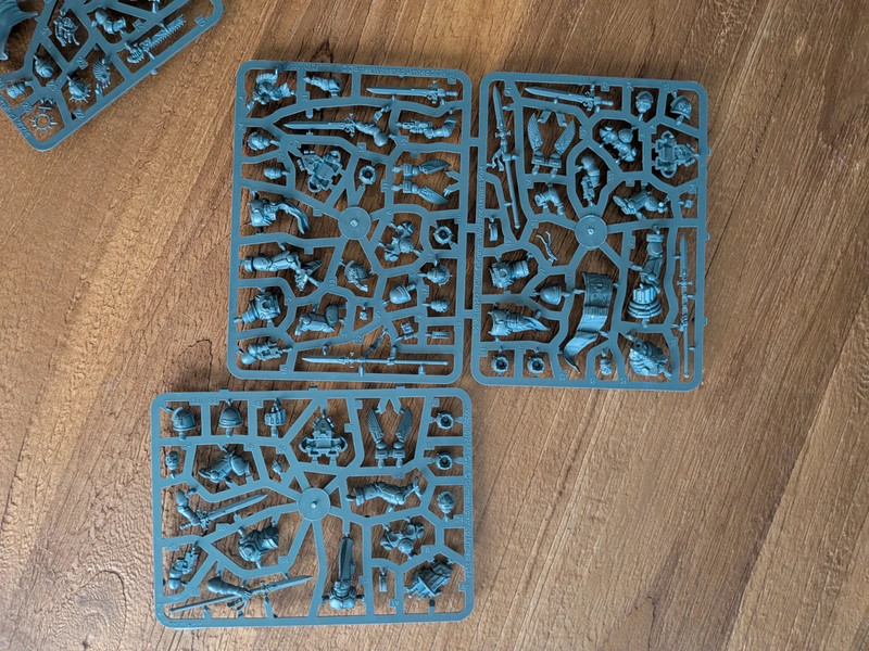 Warhammer BA Garde Sanguinienne 2