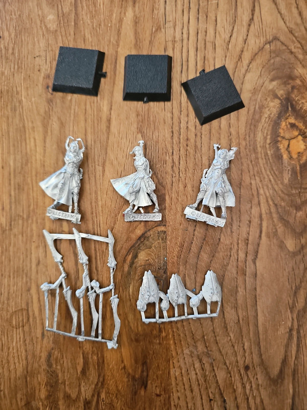 Rackham Confrontation Elfes Cynwalls Scarab Warriors