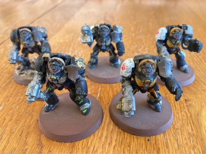 5 terminators Space marines