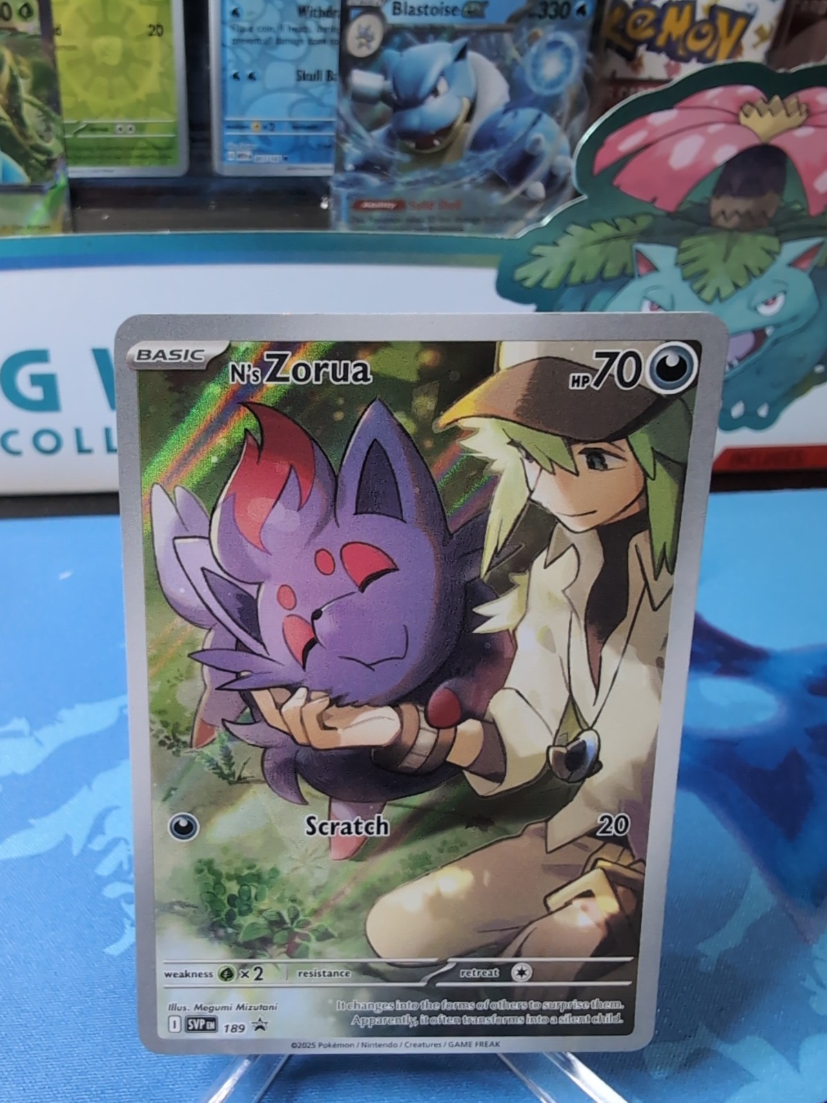 N's Zorua SVP189 SVP 189 Pokemon Journey Together SV Black Star Promo NM