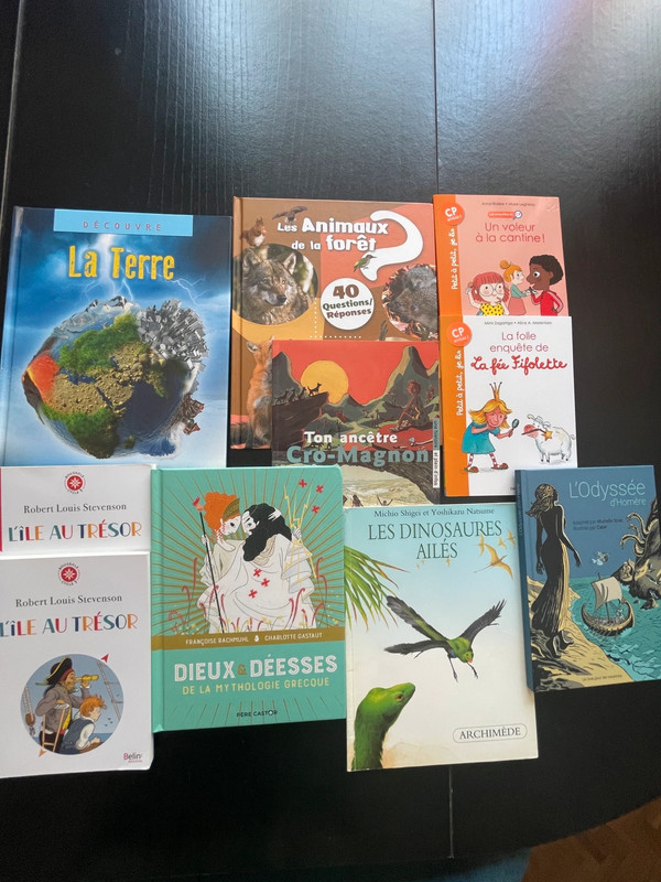 Lot de 10 livres pour enfants – Très bon état / Neuf
