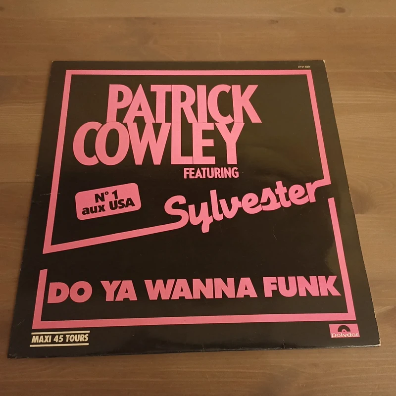 vinyle patrick cowley  sylvester
