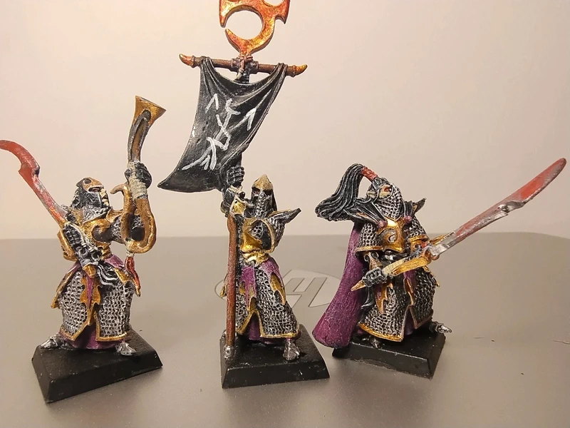 Warhammer 3 Oop metal dark elves executioners command group