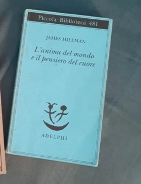 Vendo Libro di J.Hillman Anima del mondo e pensiero del cuore