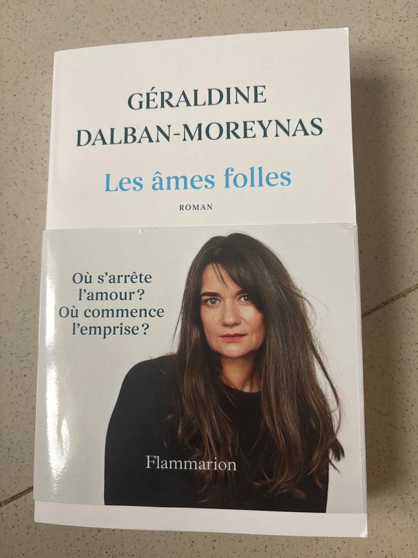livre les âmes folles