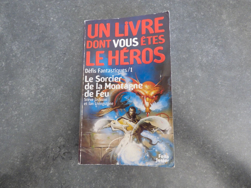 Livre dont VOUS êtes le héros : Le sorcier de la montagne de feu
