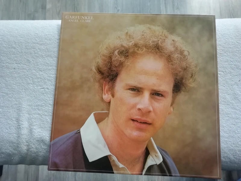 Garfunkel Angel Clare Folk Rock wie Simon and Garfunkel