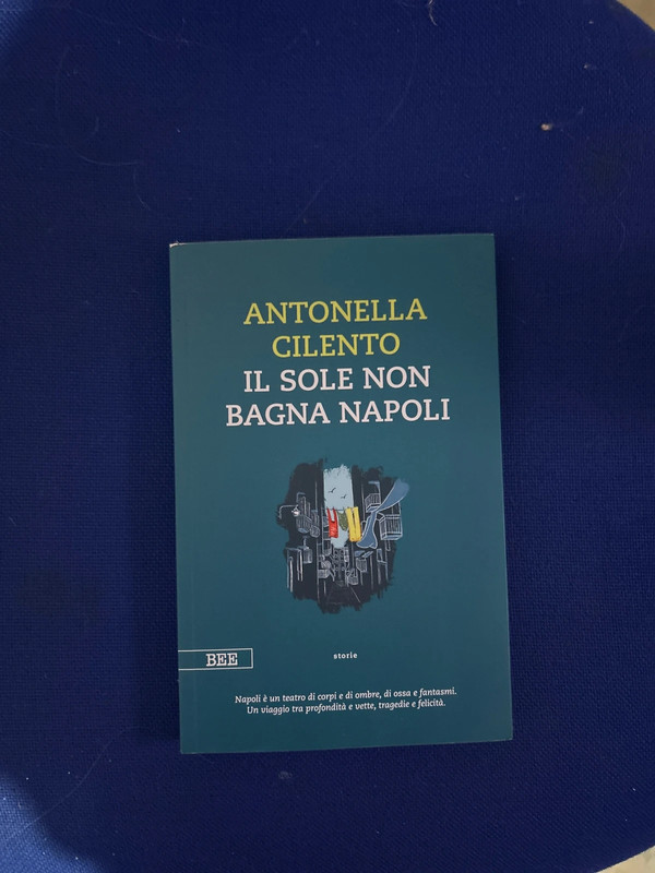 Il sole non bagna Napoli Antonella cilento