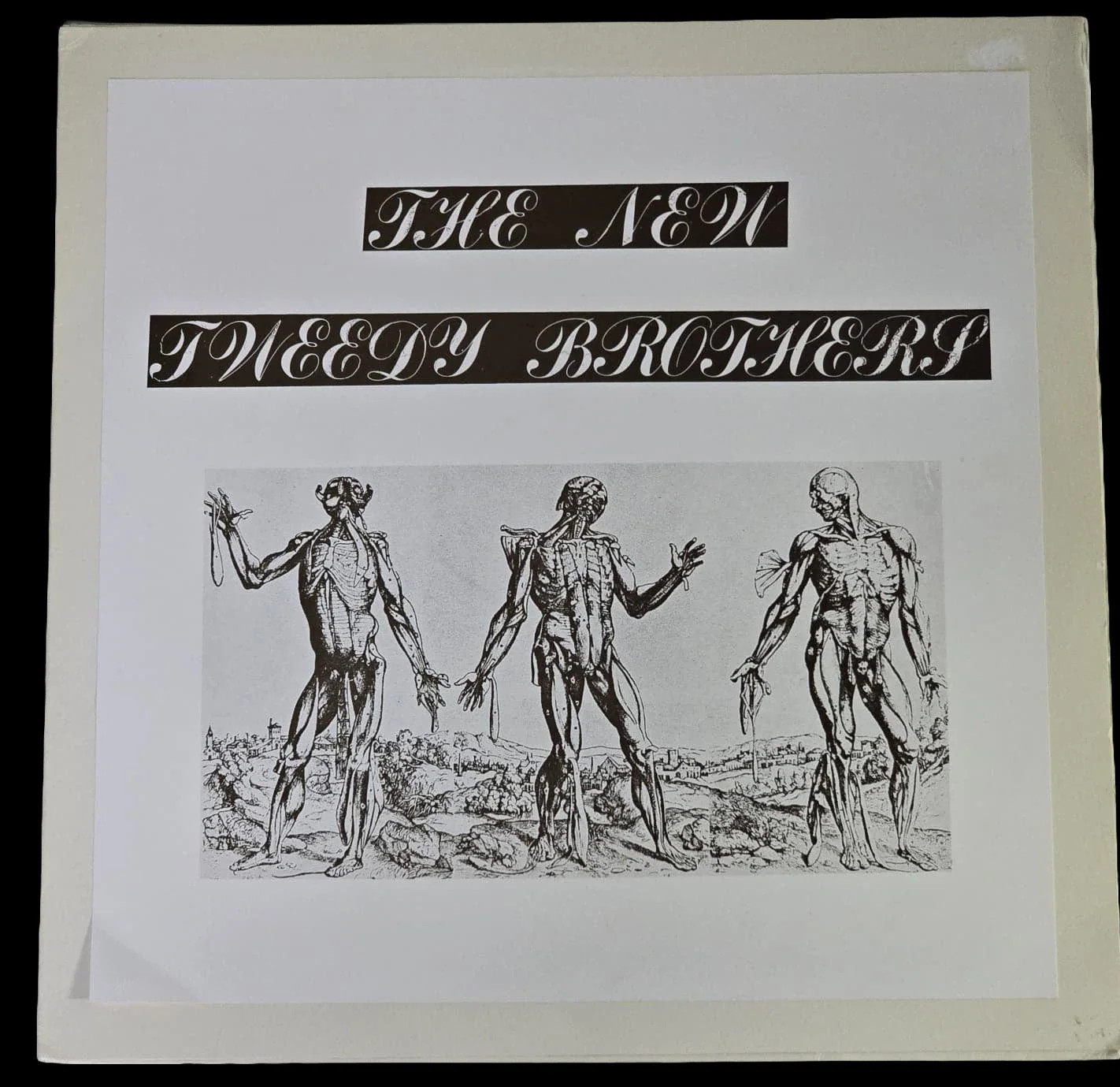 New Tweedy Brothers LP France Reissue Numbered 295/300 Portland Psych Garage